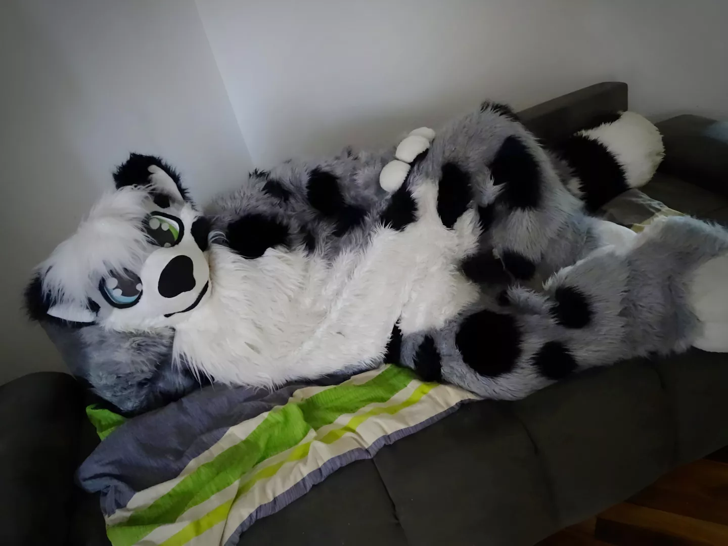 Happy Friday all cute floofs! 🥰