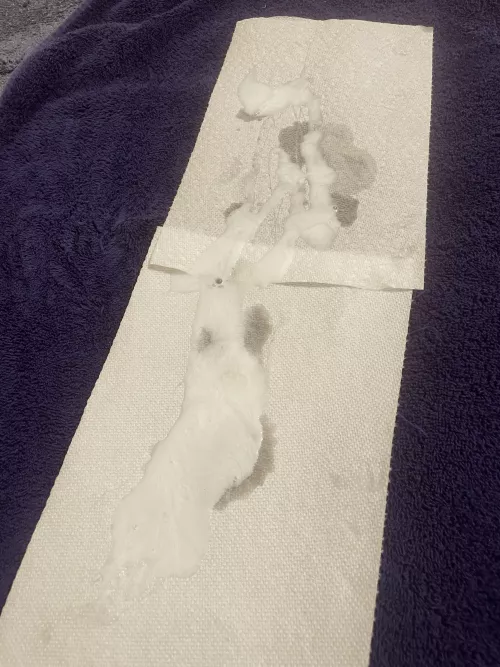 Huge load from this morning…