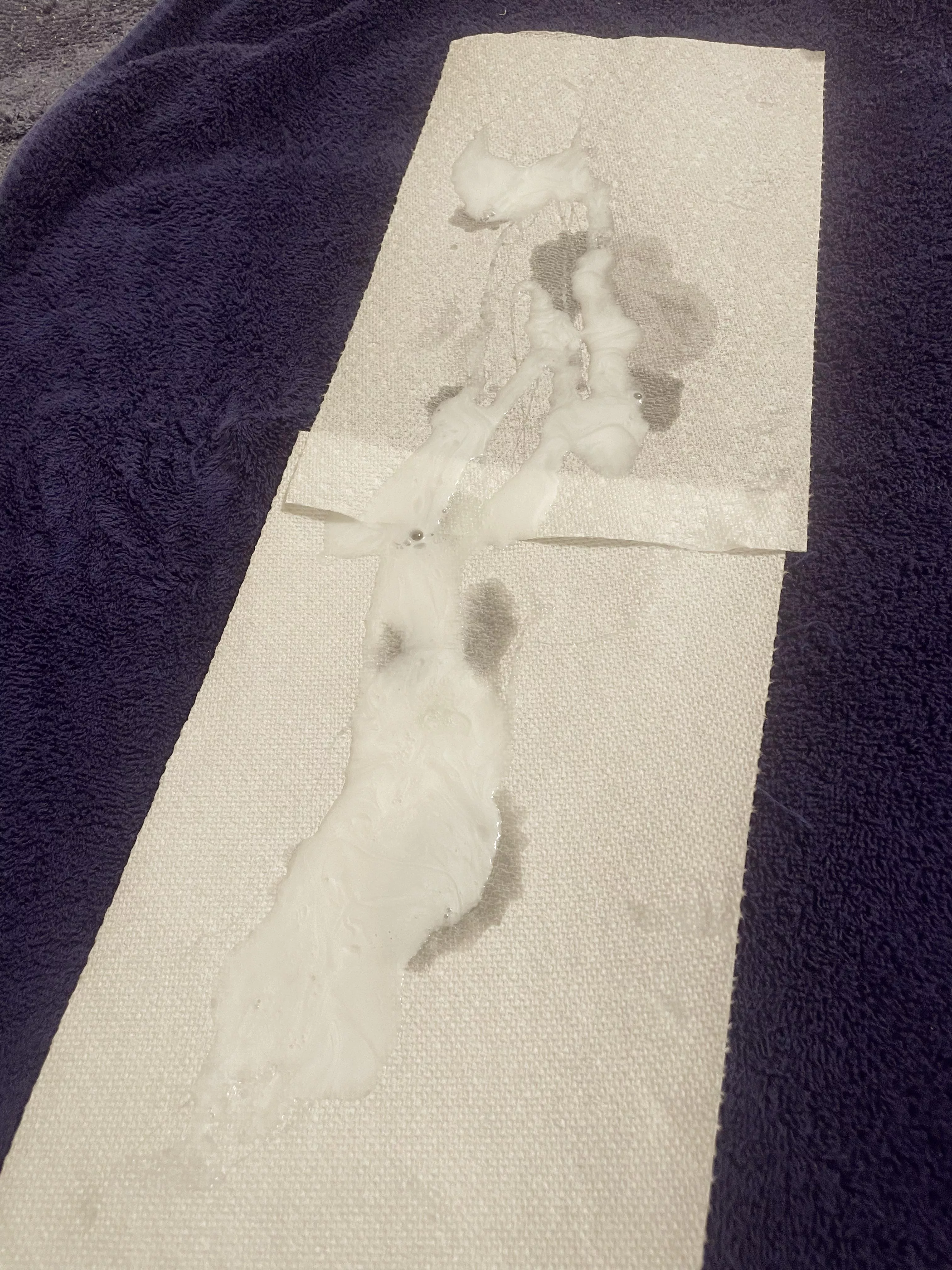 Huge load from this morning…