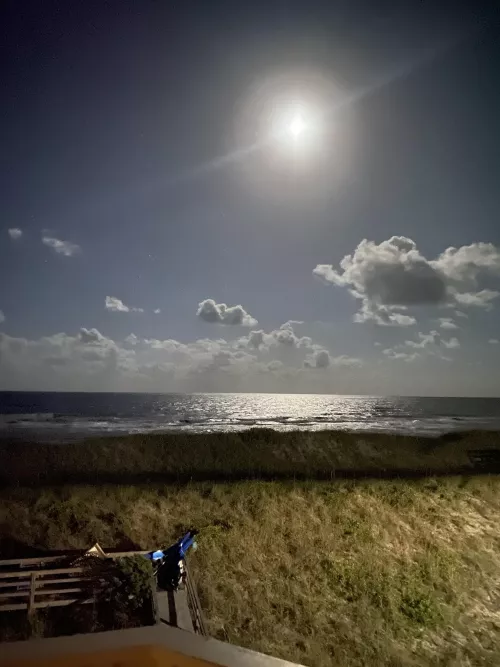 Moon looks super bright here!