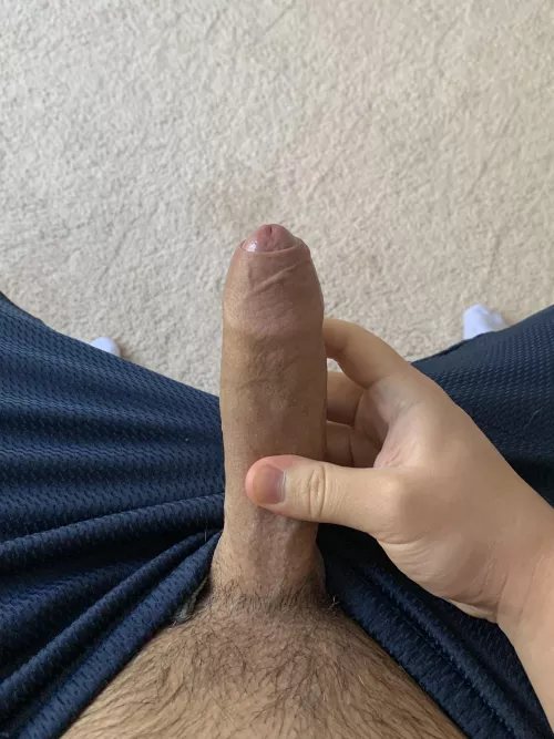Morning wood