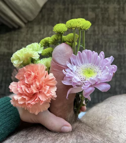 Someone put together a cock posy, and it's the cutest thing I've seen today. And it's self-irrigating.