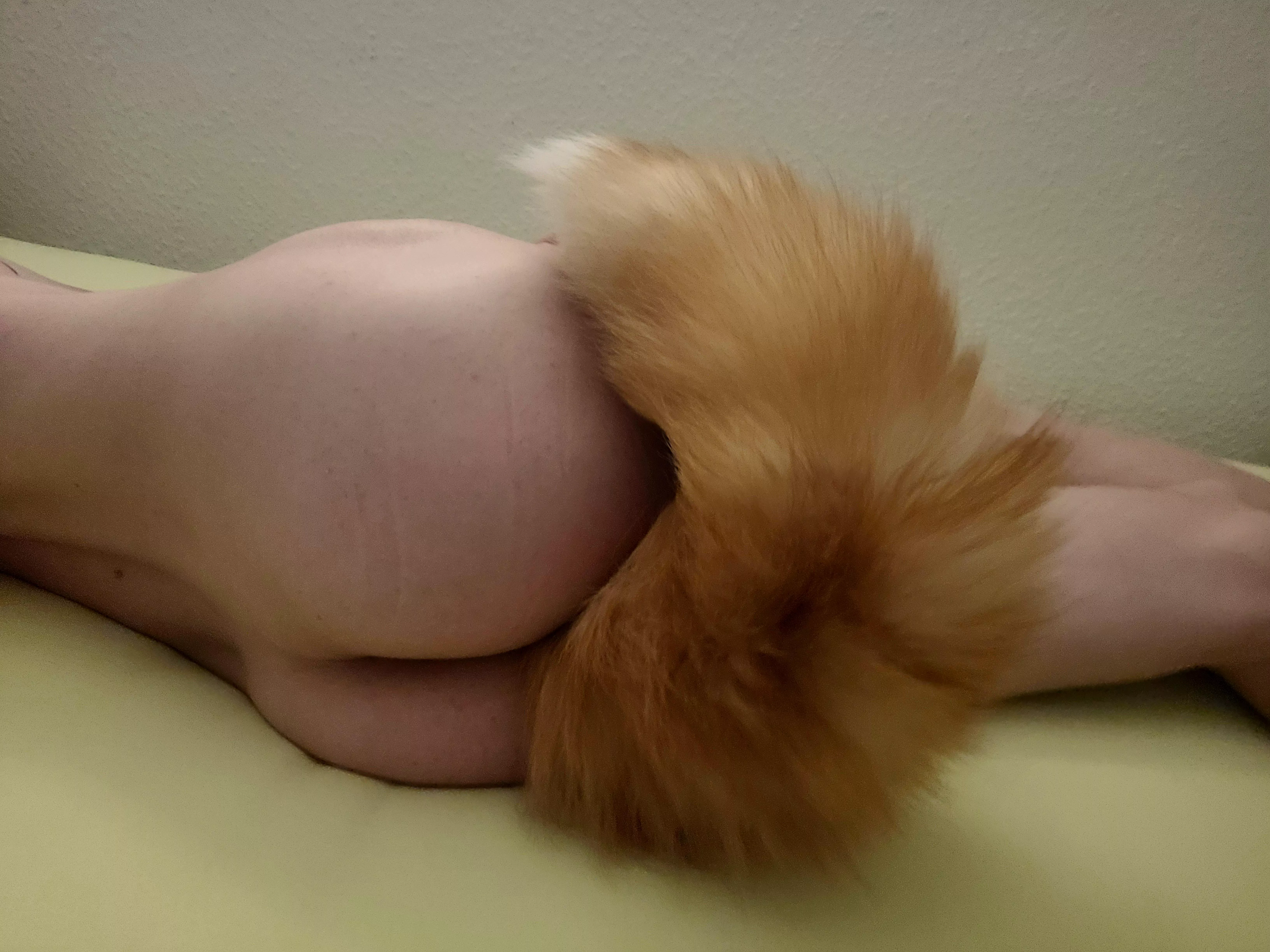 Still new to this. I love my tail 🥰 any recommendations?