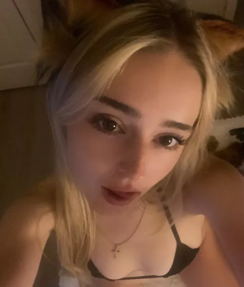 the ears aren’t gonna scratch themselves