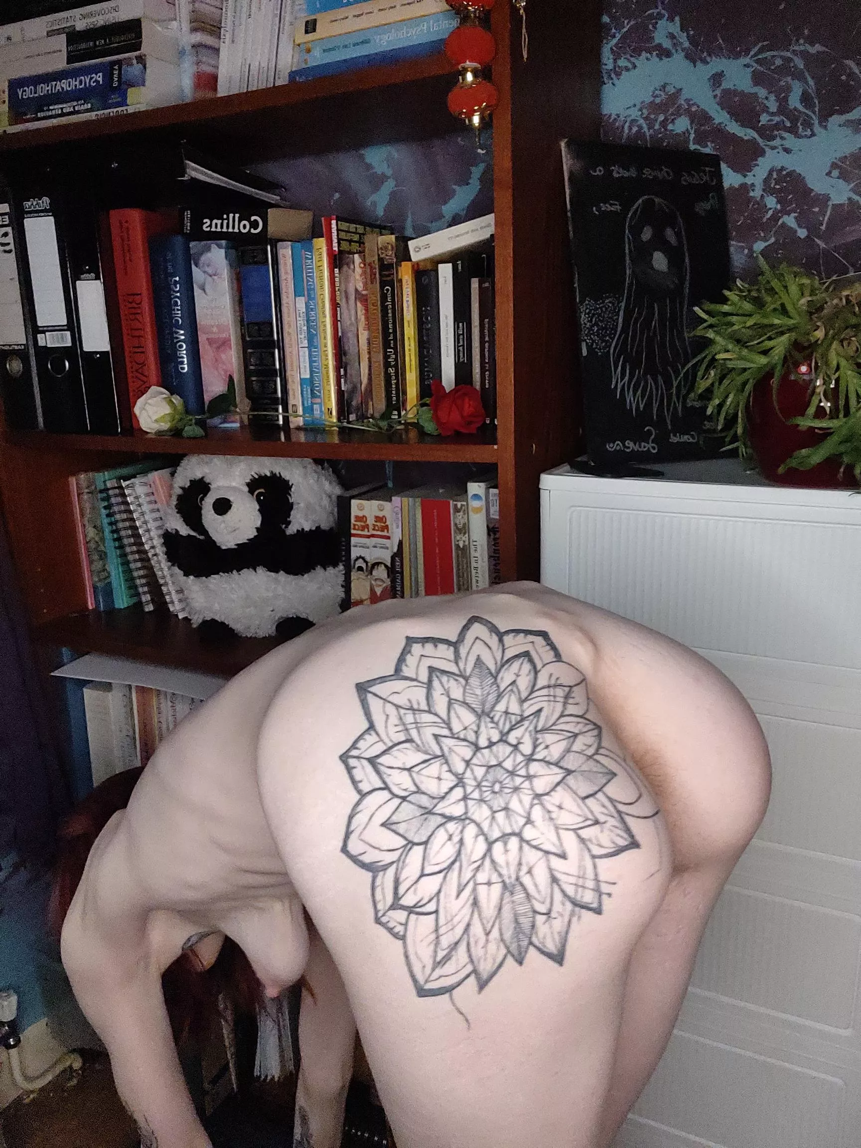 [wbo oc] so flexable and bendable its fun