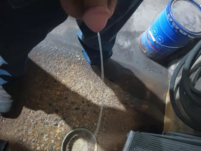 Work drain piss