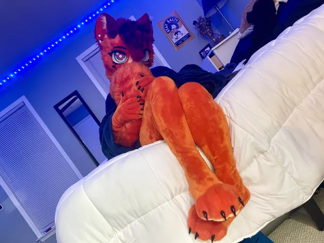 Would you snug?