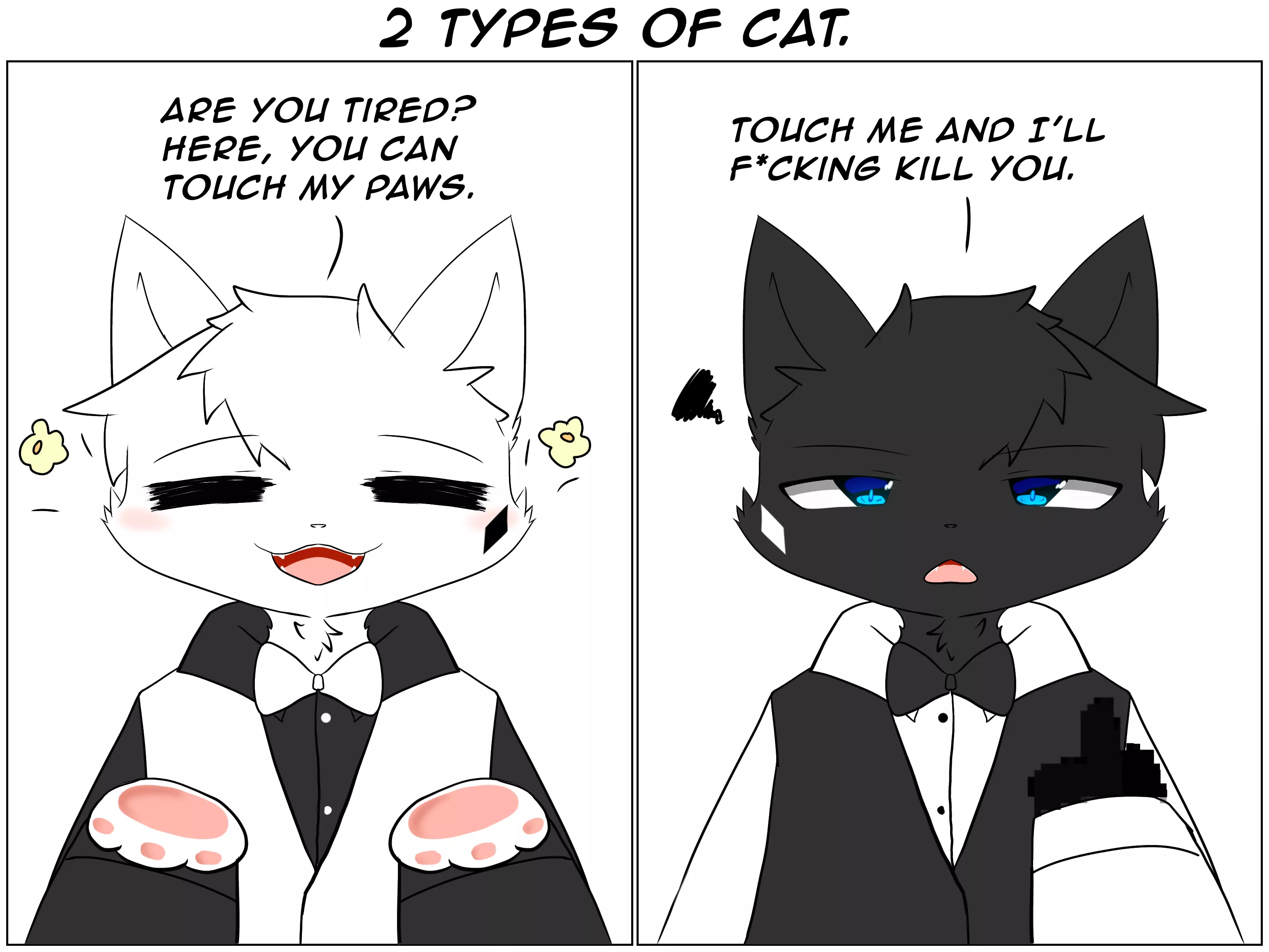 2 types of cats.