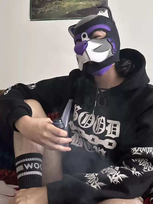 Love being a pant less pup 💜