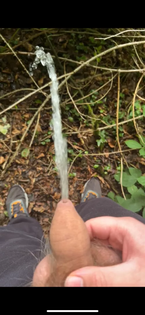 Me pissing in the woods