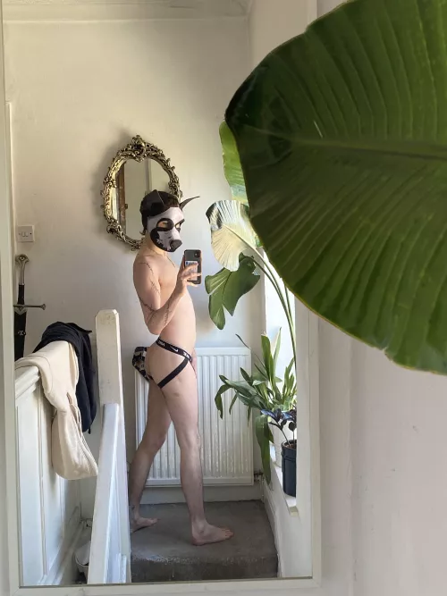 my home alone outfit 