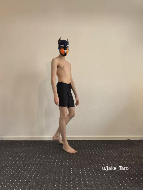 rate my swimming fit