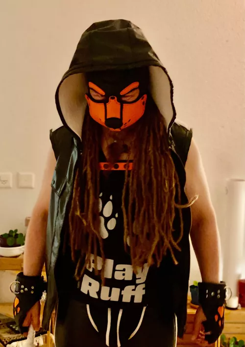 Ready to play ruff? 🐾😏