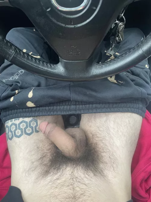 Sniff my fur in the car