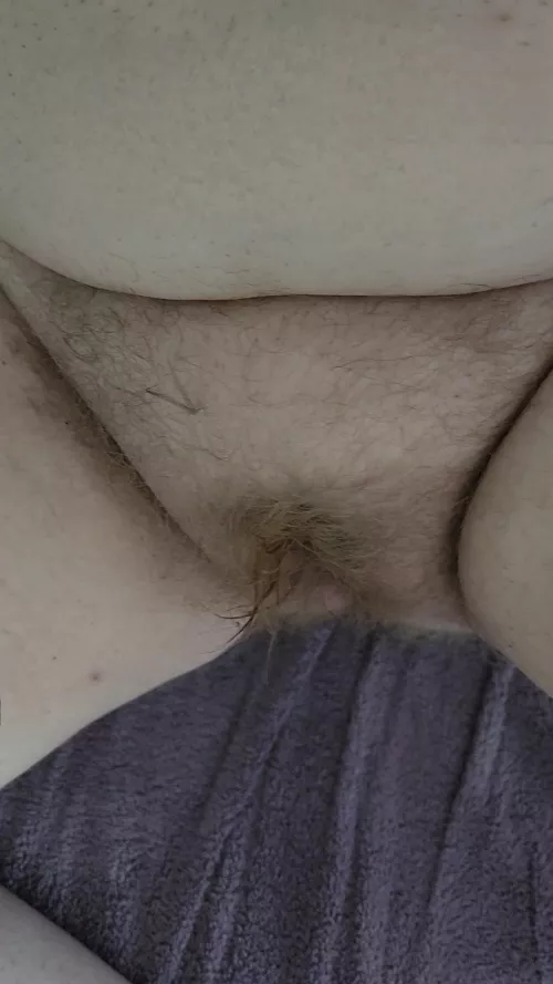Some hairy, post shower pussy for you 😘
