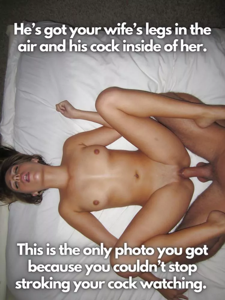 Too busy stroking to take photos! 