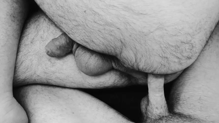 Which bear is next for a slow Sunday fuck...?