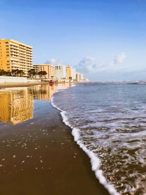 Early Morning Stroll