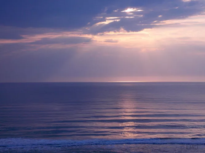 Morning ☀️ Sunrise