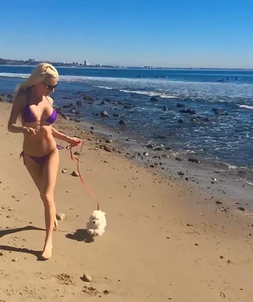My baby doggie adores running at the beach ⛱️🐩