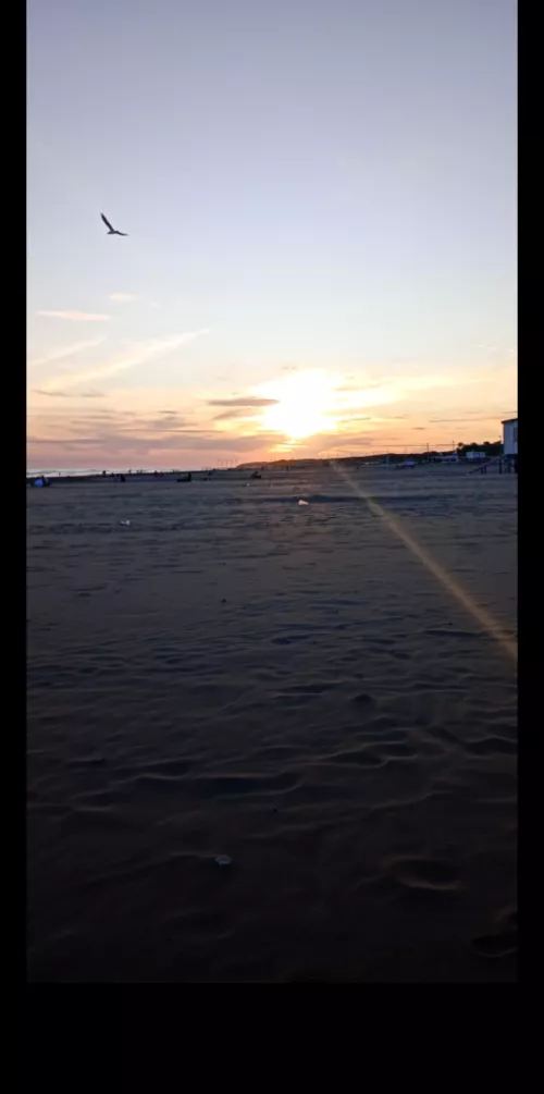 reconnect with nature and these sunsets