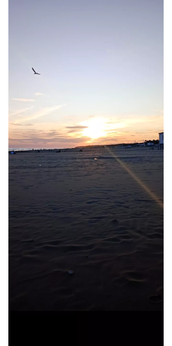 reconnect with nature and these sunsets