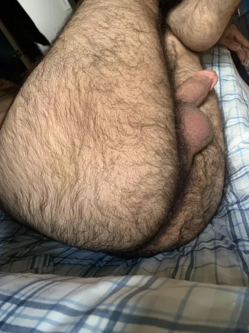 Sniff my hairy ass🫵