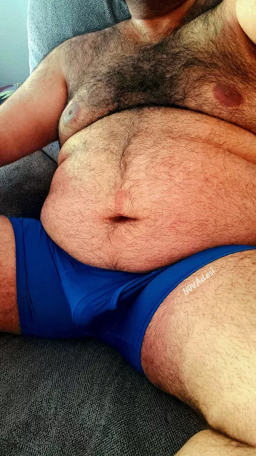 Built like a teddy bear