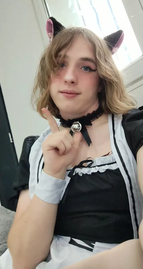 Fineee, you can jingle it .... once 😺☝️