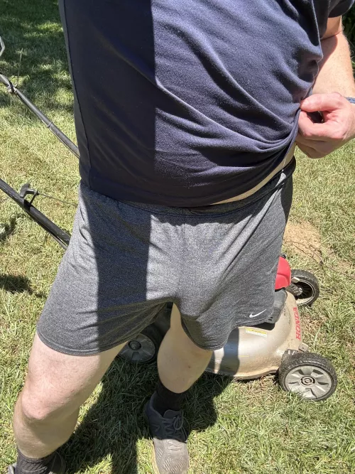 Just finished the yard