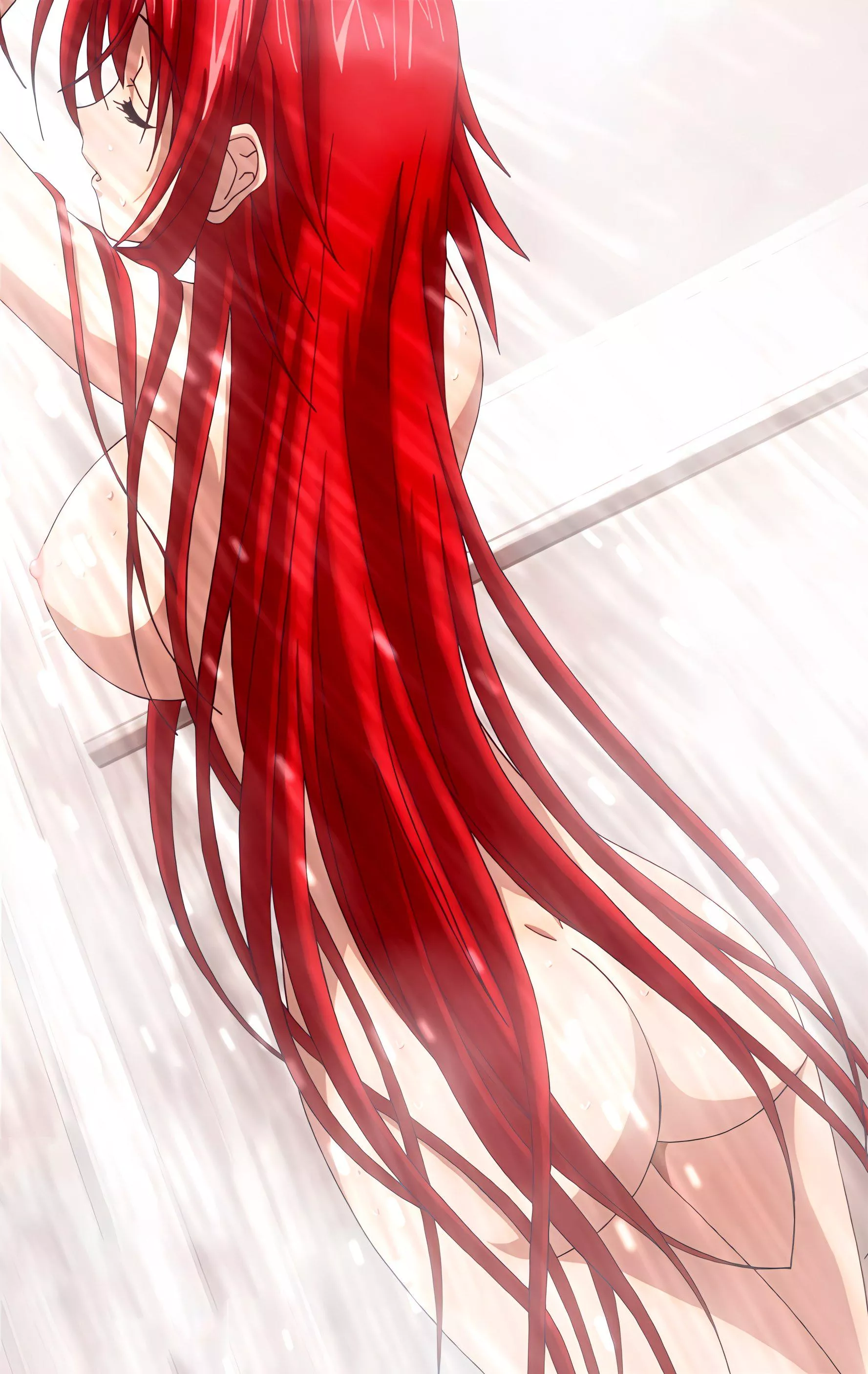 Rias Gremory [Highschool DxD]