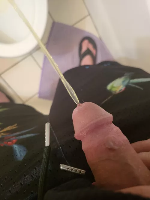 Take it straight from the source