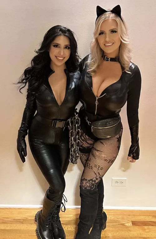 Which cat woman?