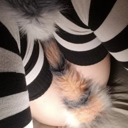 hehe maaybe you should lift my tail >;3 