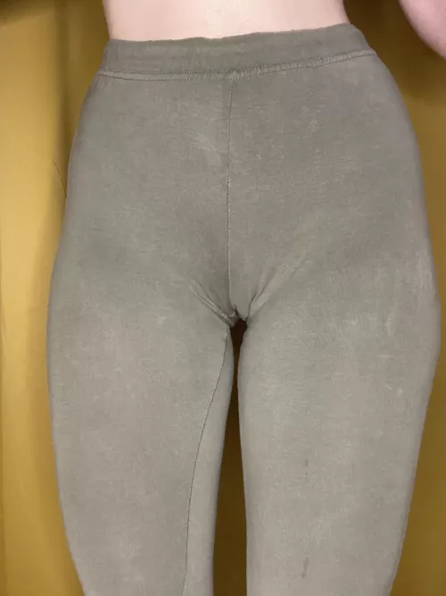 I have a special camel toe for you