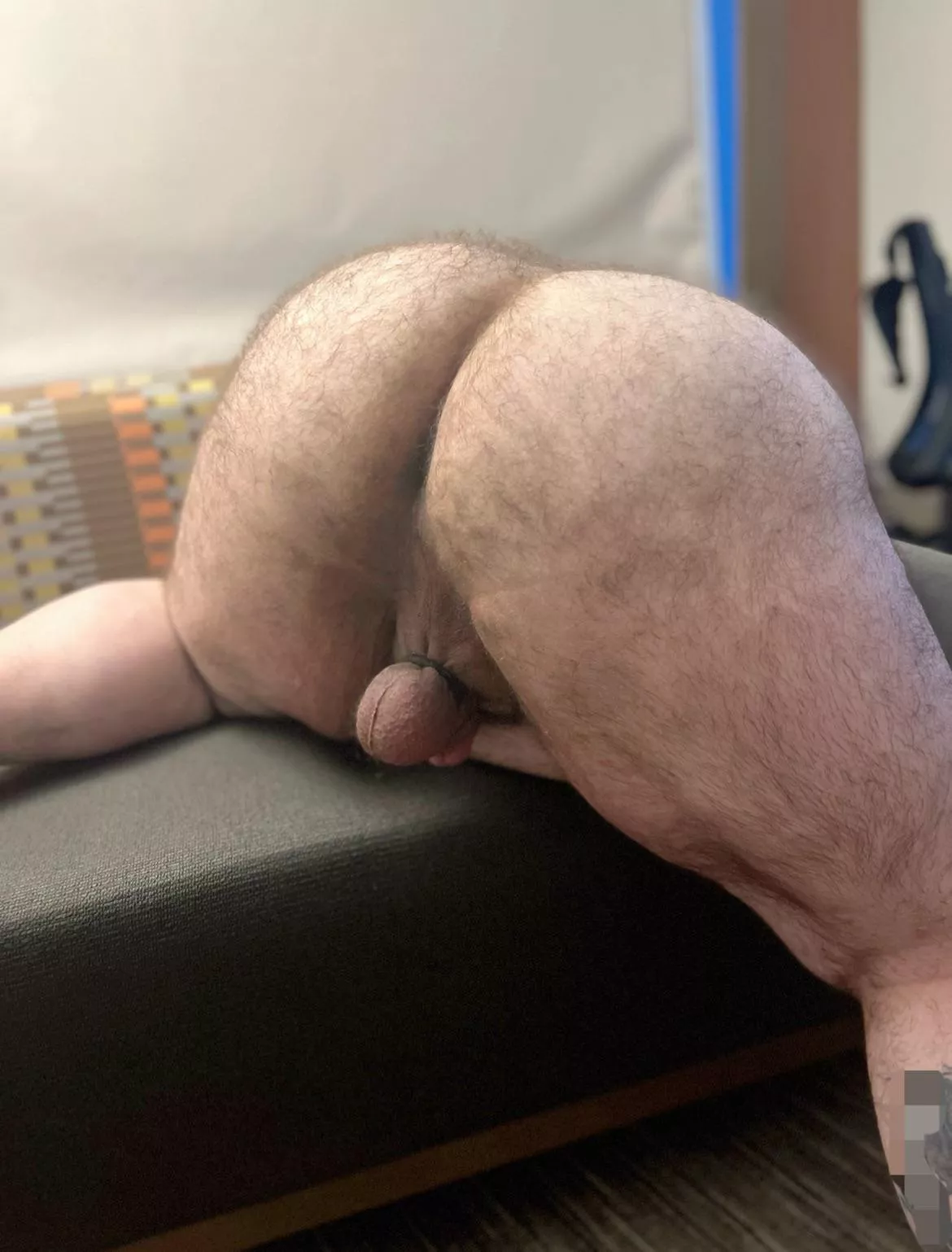 It’s HumpDay so let’s hump