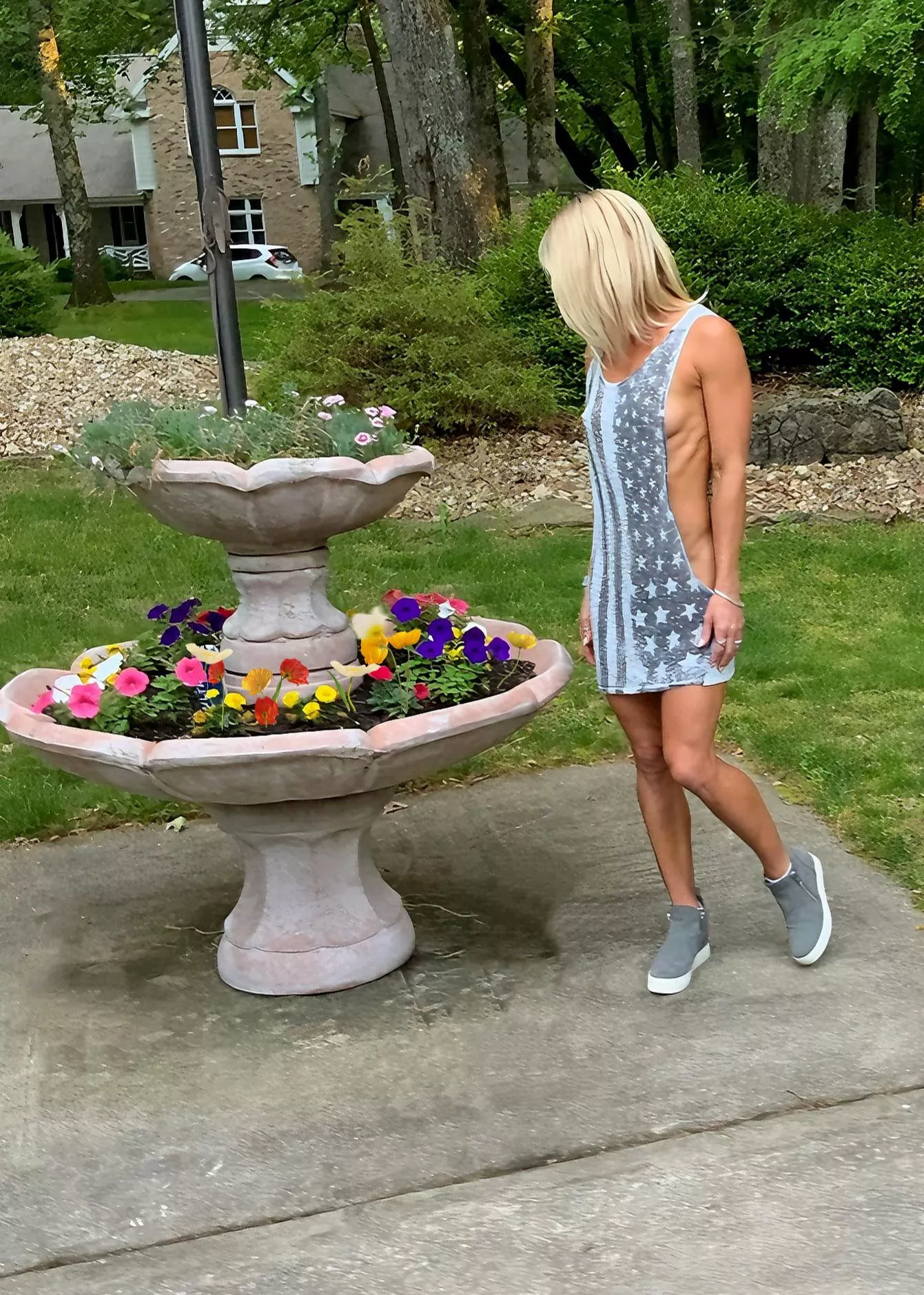 My flowers are in full bloom