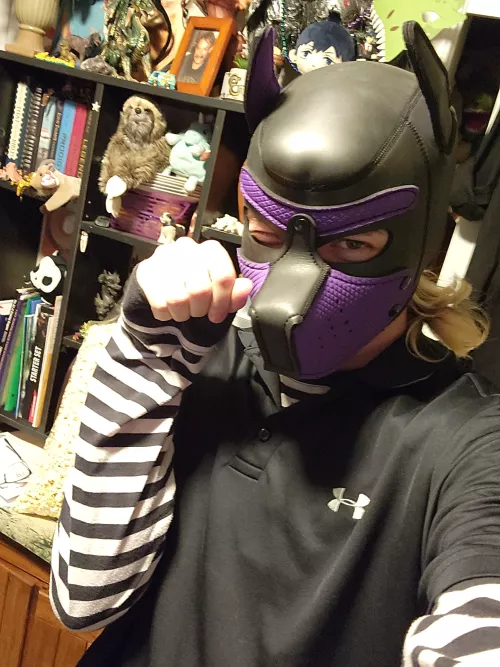 Pup happy to be home ♡