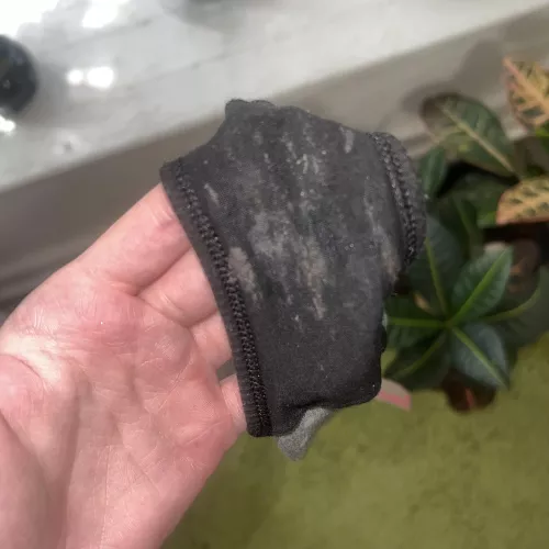 Would you lick my crusty panties 