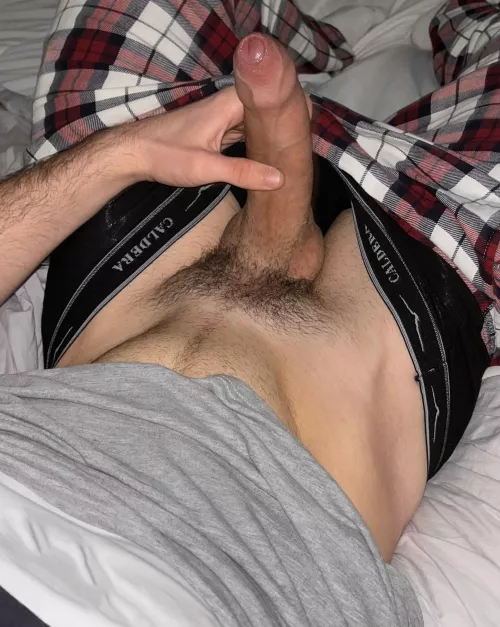 [22] should I trim or let my bush grow? 👀