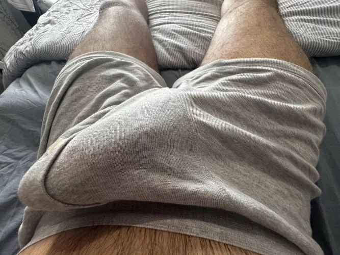 Just some average morning wood…