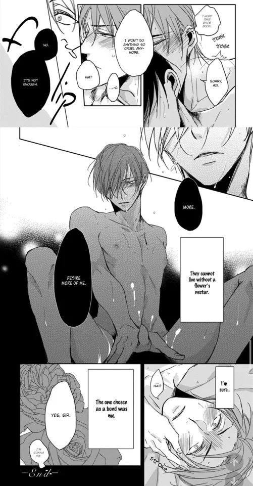 [Kashikomarimashita, Destiny]