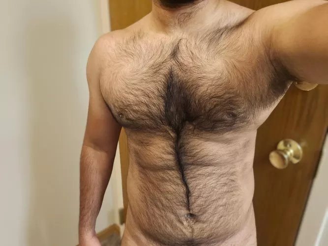 Wanna get on the trail of the treasure? 