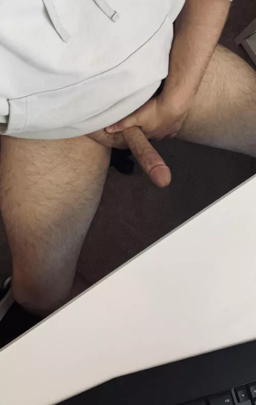 95% of my WFH days look like this! [31]