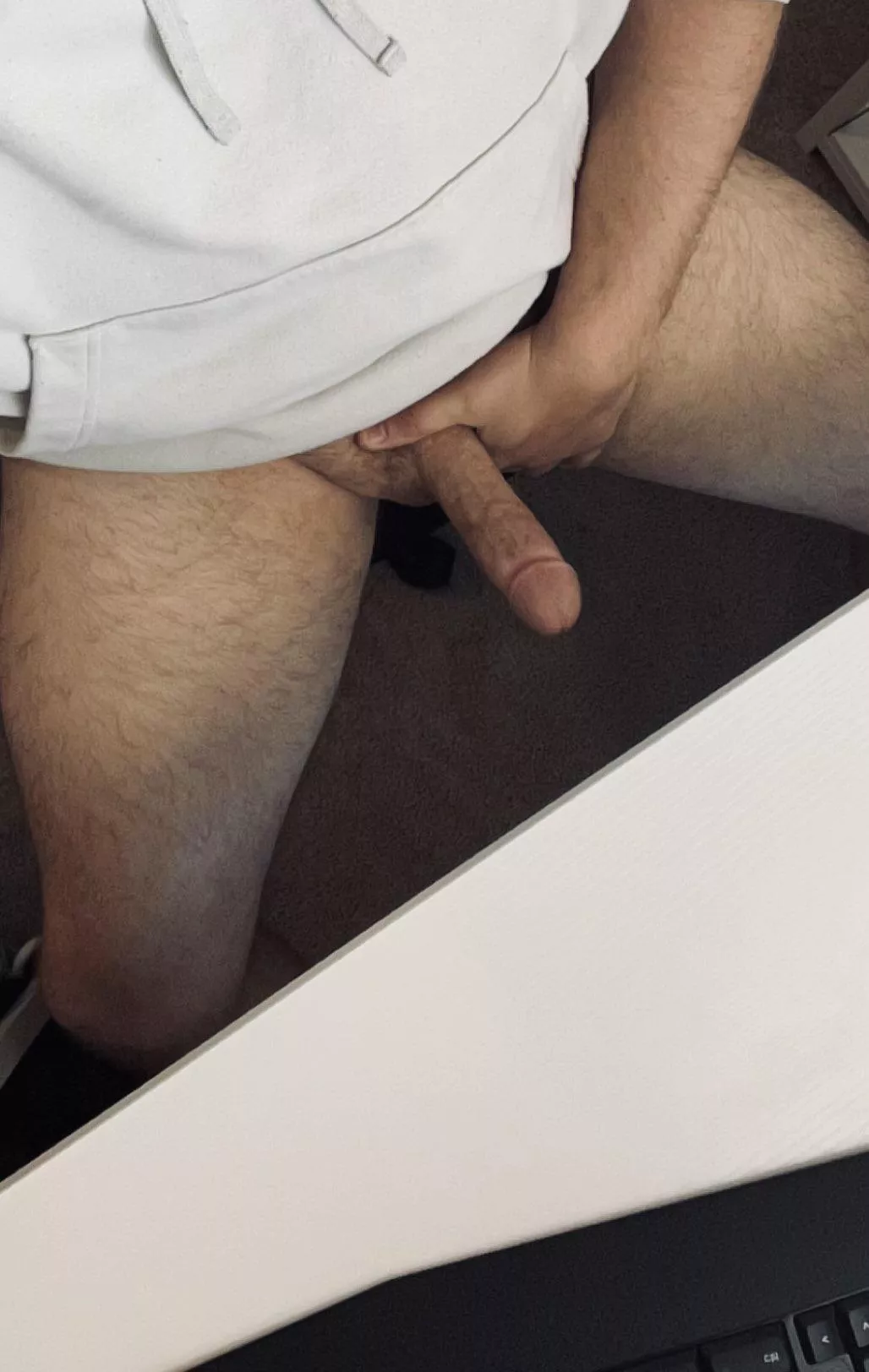 95% of my WFH days look like this! [31]