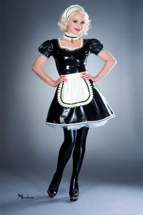 Beautiful Shiny Maid