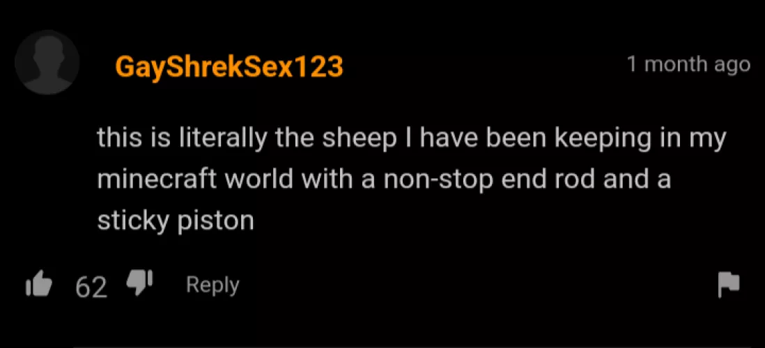 Bro spent to much time on Minecraft...