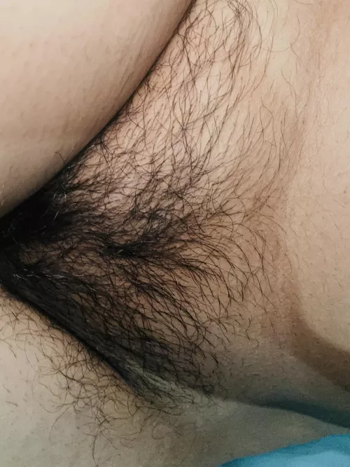 Heard you like it hairy