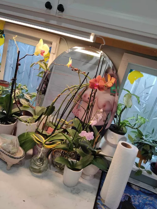 How are her orchids doing, Any tips