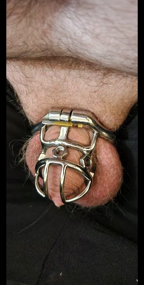 This is the smallest cage i have